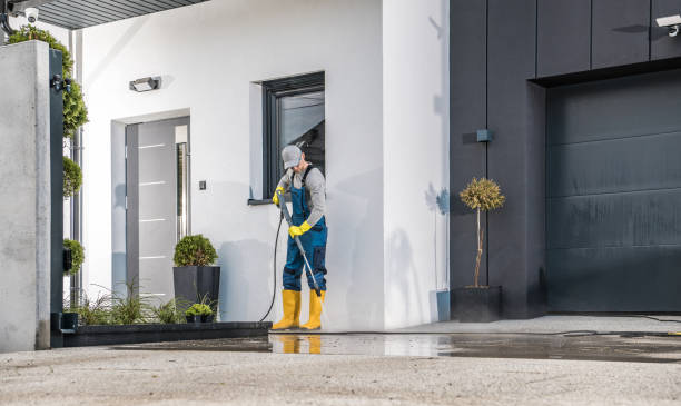 Best Roof Washing  in Jamestown West, NY